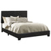 Dorian Panel Bed - Maxx Save 