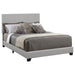 Dorian Panel Bed - Maxx Save 