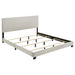 Dorian Panel Bed - Maxx Save 