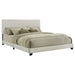 Dorian Panel Bed - Maxx Save 