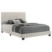 Dorian Panel Bed - Maxx Save 