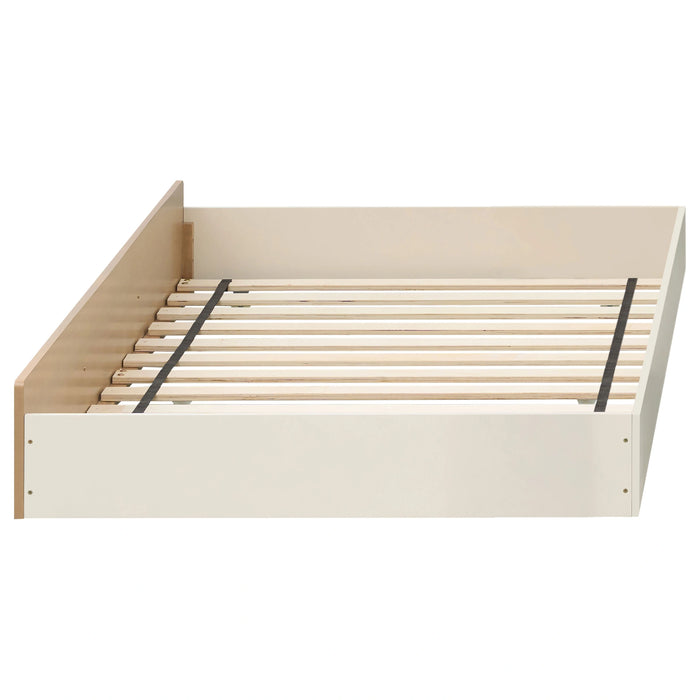 Evren Bunk Bed