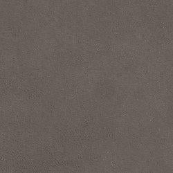 Darcy Loveseat - Maxx Save 