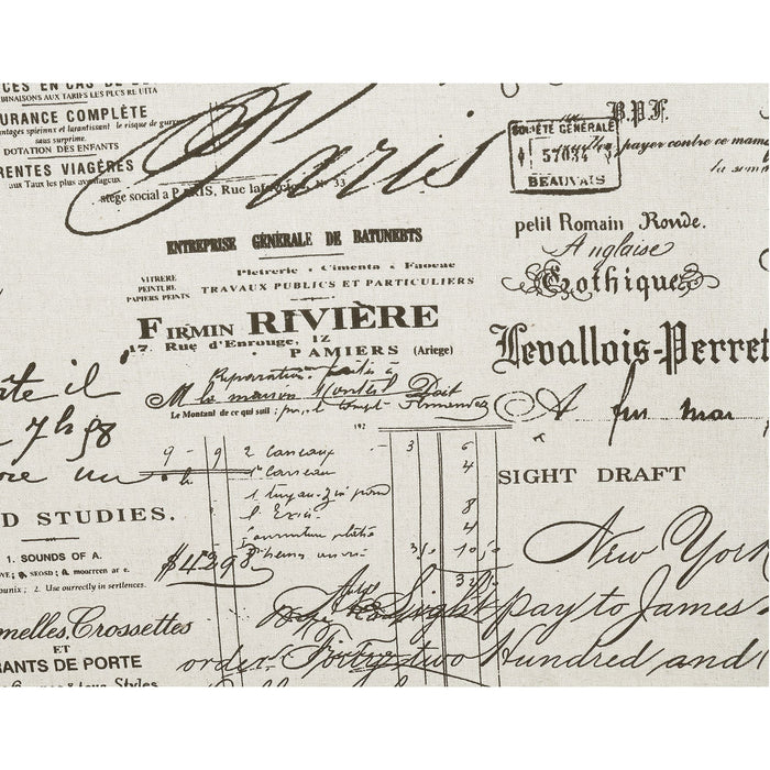 Erica 497 Chair W/Chrome Nails French Script (ISTA 3) - Maxx Save 