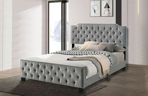 Charlize Bed Grey & Navy - Maxx Save 