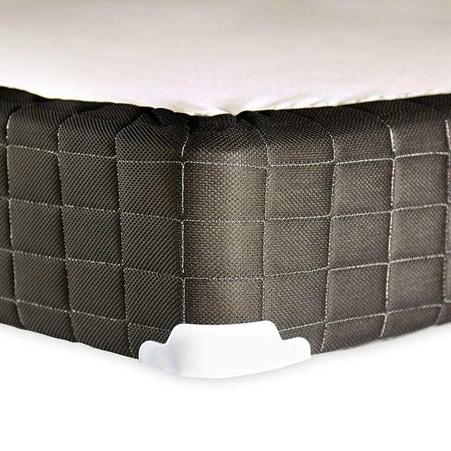 Grey Foundation, E.King, 2CTN - Maxx Save 