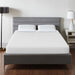 Artemisia 10" Memory Foam Mattress White - Maxx Save 
