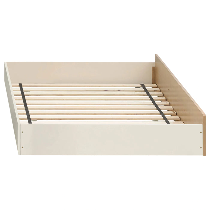Evren Bunk Bed