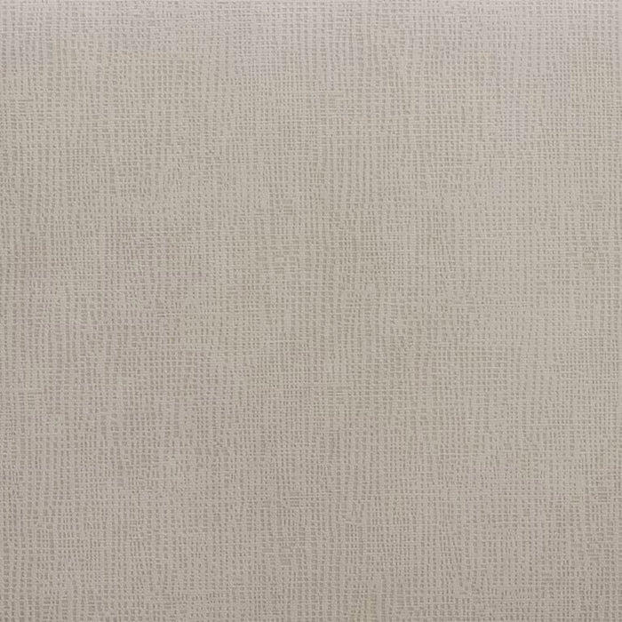 Elements International Maxwell Side Chair (Set of 2) in Champagne