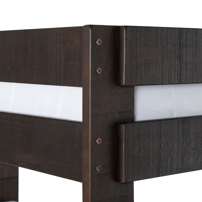 Elements International Vista Twin over Twin Bunk Bed with Ladder in Brown